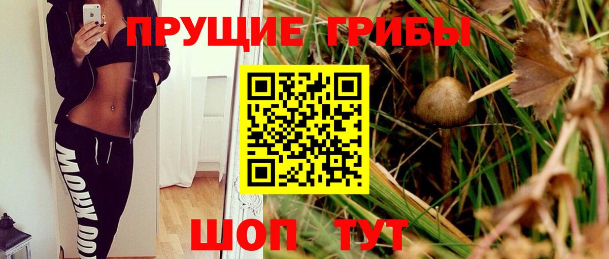 Псилоцибиновые грибы мухоморы Бор